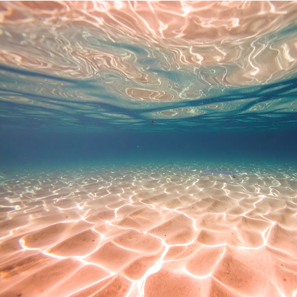 Comprendre la puissance des émotions